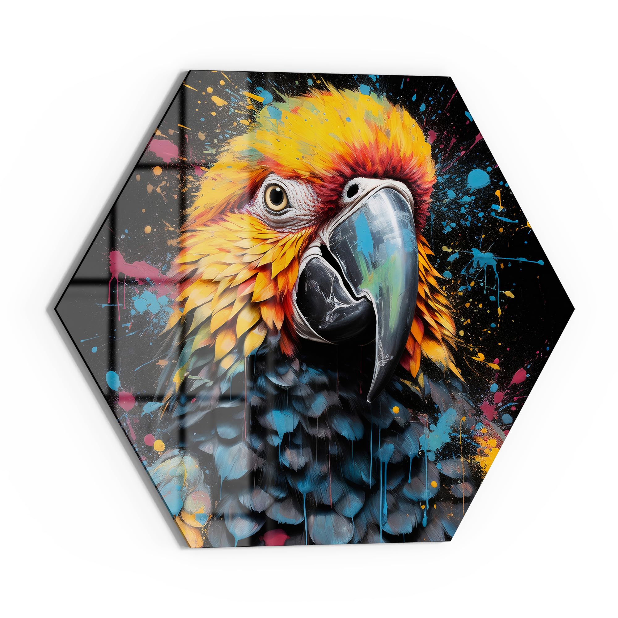 DEQOART Lavagna magnetica in vetro | esagonale 55 x 47,6 cm | motivo "gioco di colori pappagallo" | Lavagna magnetica con magneti, penna e panno per cucina e ufficio | Lavagna scrivibile