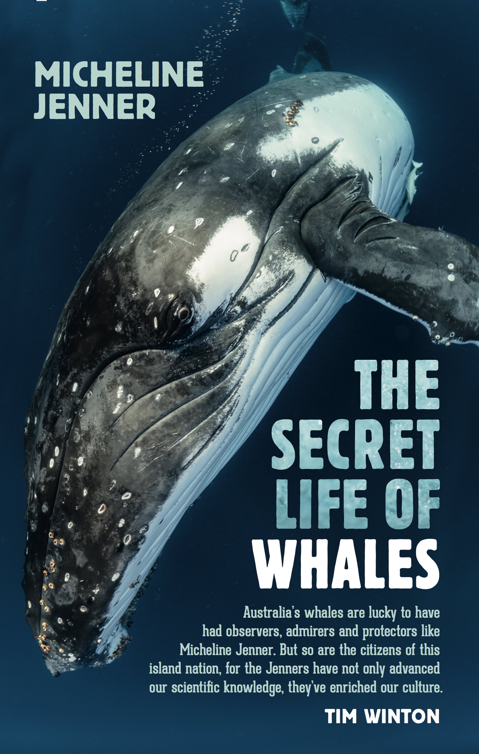 NewSouth Publishing The Secret Life of Whales