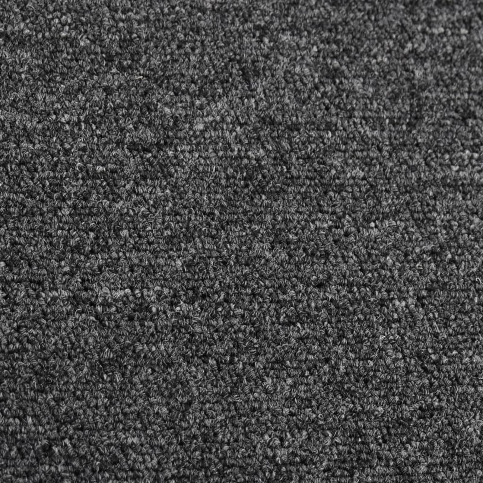Tapis de Couloir Anthracite 80x300 cm,Tapis de Couloir,Tapis de Passage Couloir,Tapis de Décoration