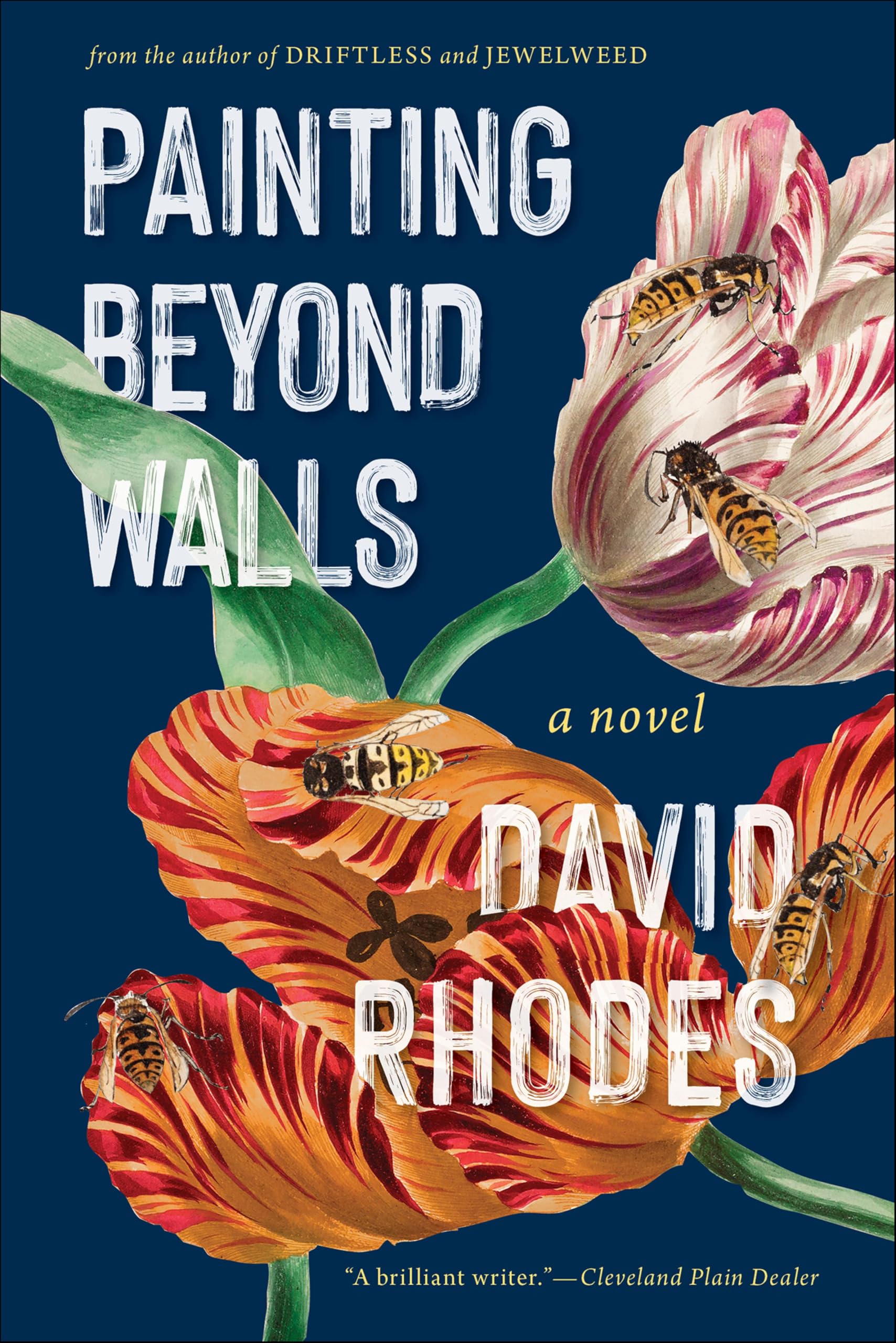Buy Painting Beyond Walls: A Novel — BookShops.in