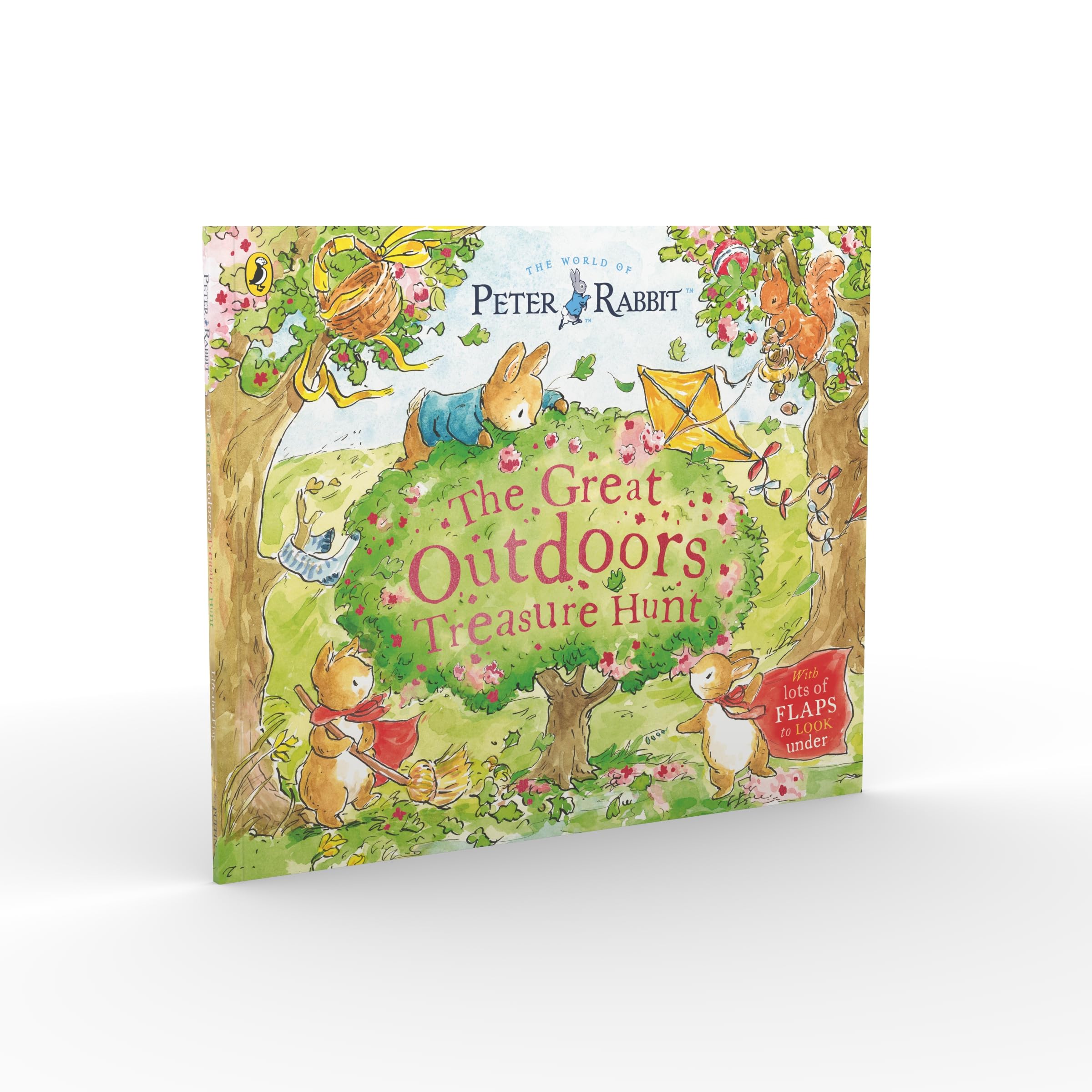 Peter Rabbit: The Great Outdoors Treasure Hunt: A Lift-the-Flap Storybook