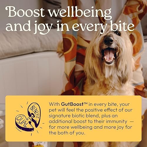 Miniatura 4 de WellJoy Suplemento para perros Immune+ GutBoost  Suplemento de salud para perros  Mejora la respuesta inmune  Formulación GutBoost de doble