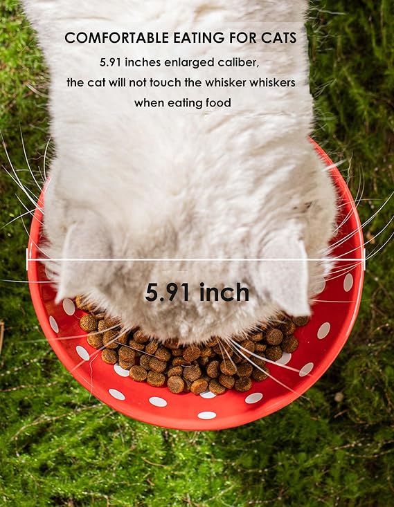 Raised Cat Bowl, Cute Mushroom Pet Feeder, Elevated Small Dog Food Bowl, Ceramic Raised Pet Bowls for Food and Water, Wide Shallow Cat Dish, Whisker Fatigue (Red)