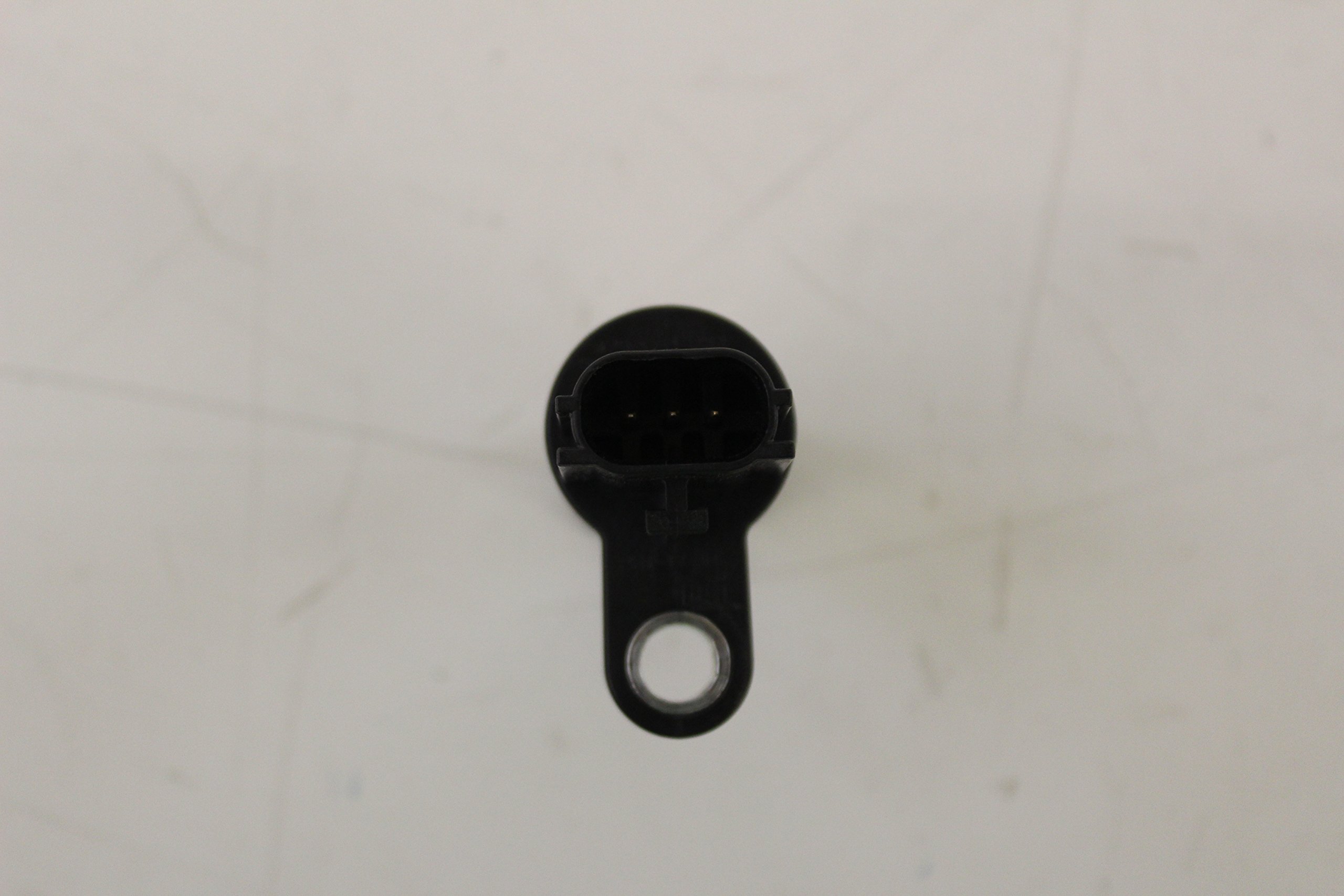 スコープになります 41eVNe6-ymL._UF894,1000_QL80_.jpg
