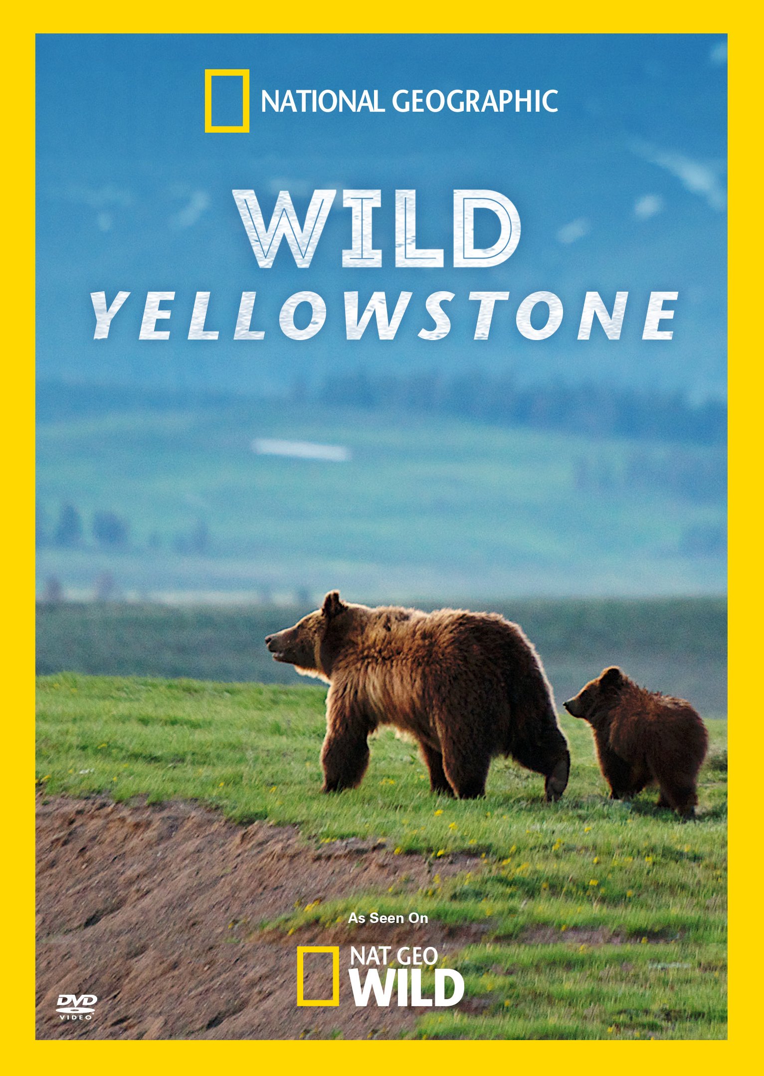 Wild Yellowstone para noches de juego familiares y tardes con amigos