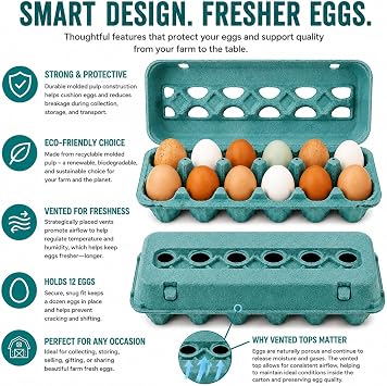 Vented Paper Pulp Egg Cartons - Teal (12)