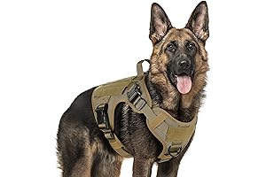 Rabbitgoo Tactical Dog Harness for Robust Canines