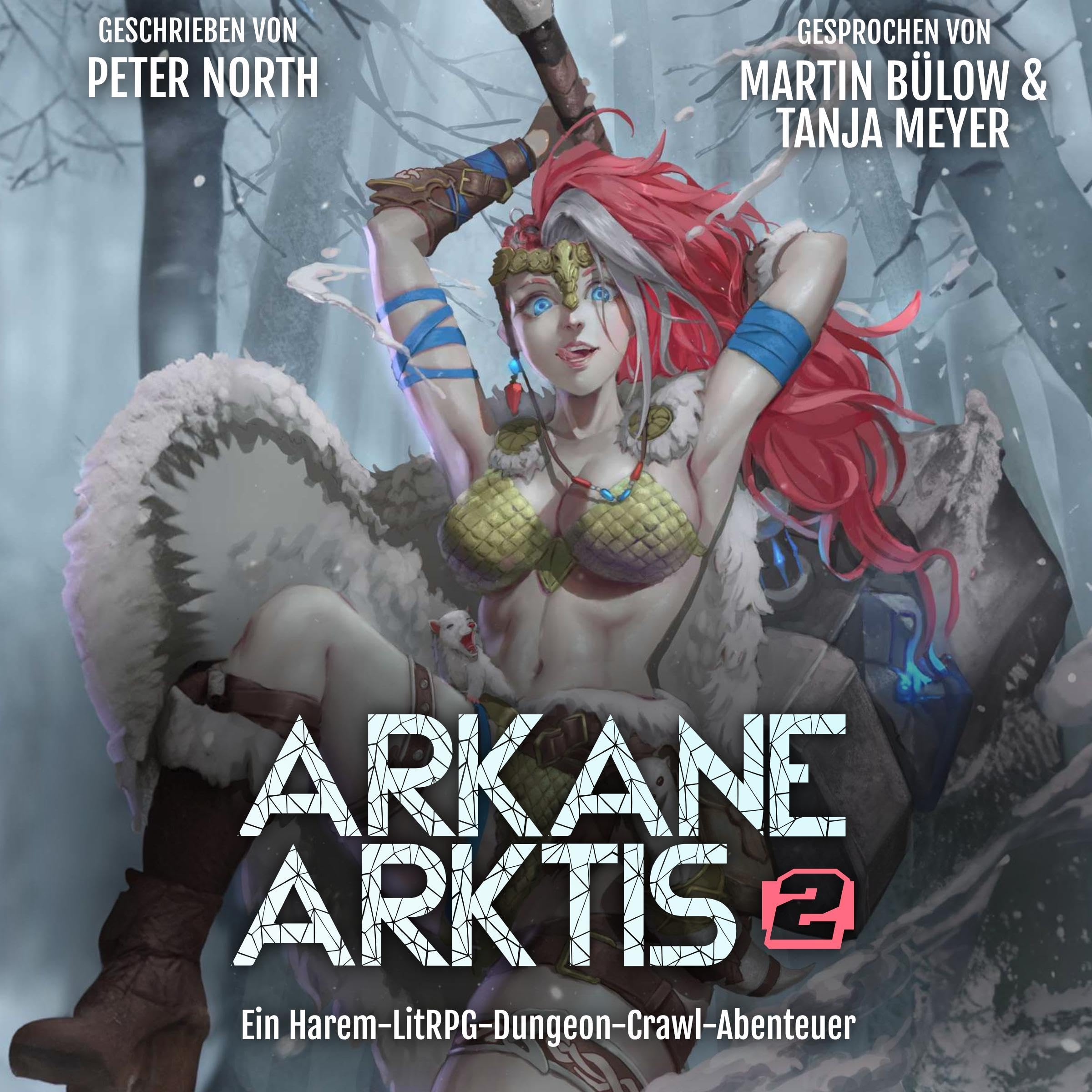 Cover art for Arkane Arktis 2
