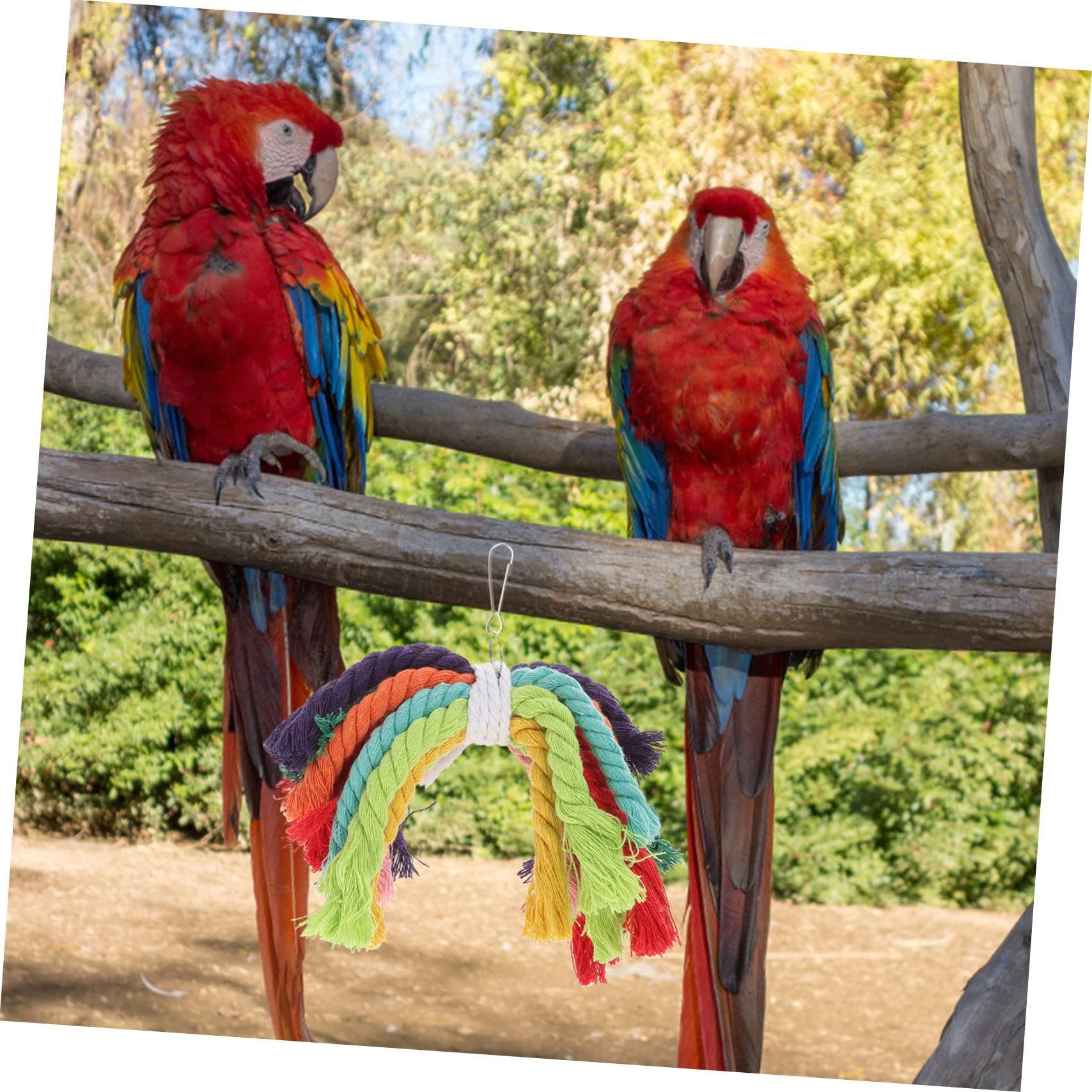 Beavorty 5pièces Jouet à Mordre pour Oiseaux Coton Jouet Corde pour Perroquet Amusement Et Détente