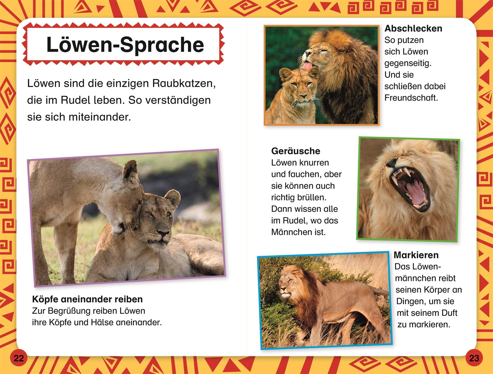 SUPERLESER! Löwen-Abenteuer: 1. Lesestufe Sach-Geschichten für Leseanfänger