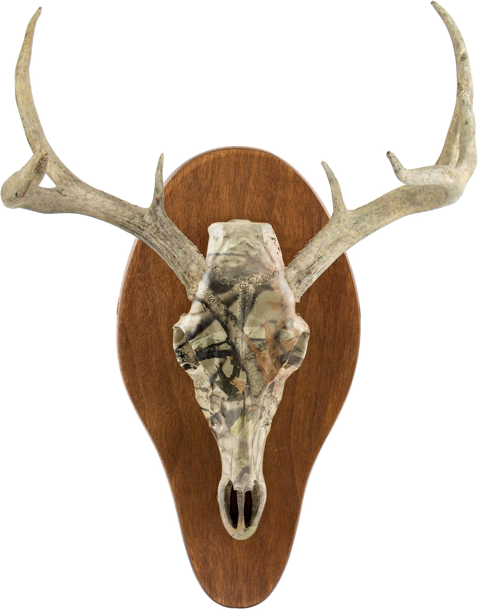 Field Champ Replica Skull Mount Kit