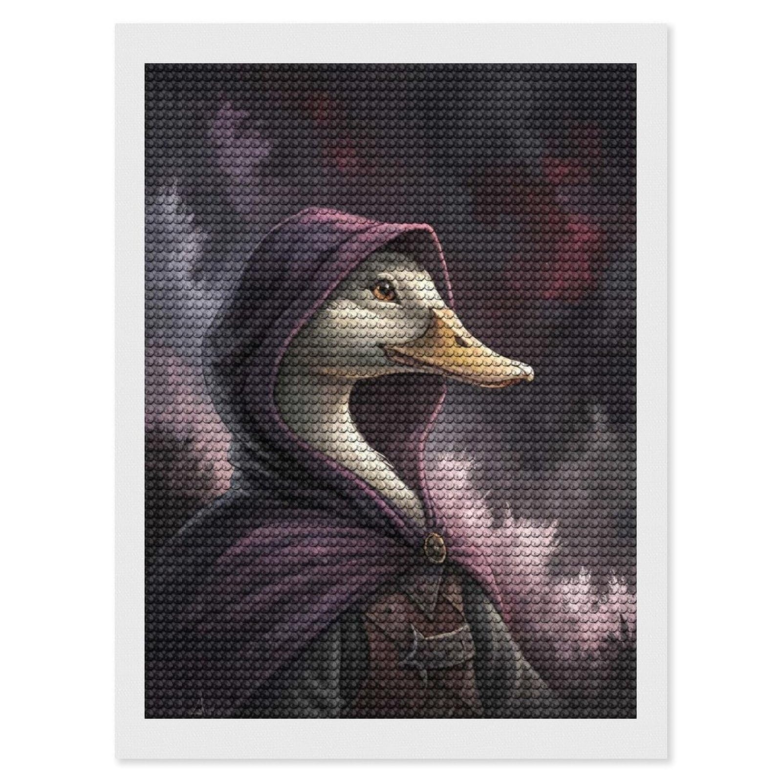 Junmoney Mysterious Duck in A Hooded Cloak Diamond Painting Canvas Set 12"x16", Easy to Enjoy, Adhesive Canvas, Office Decor, Holiday Gift Idea, with Tool Kit