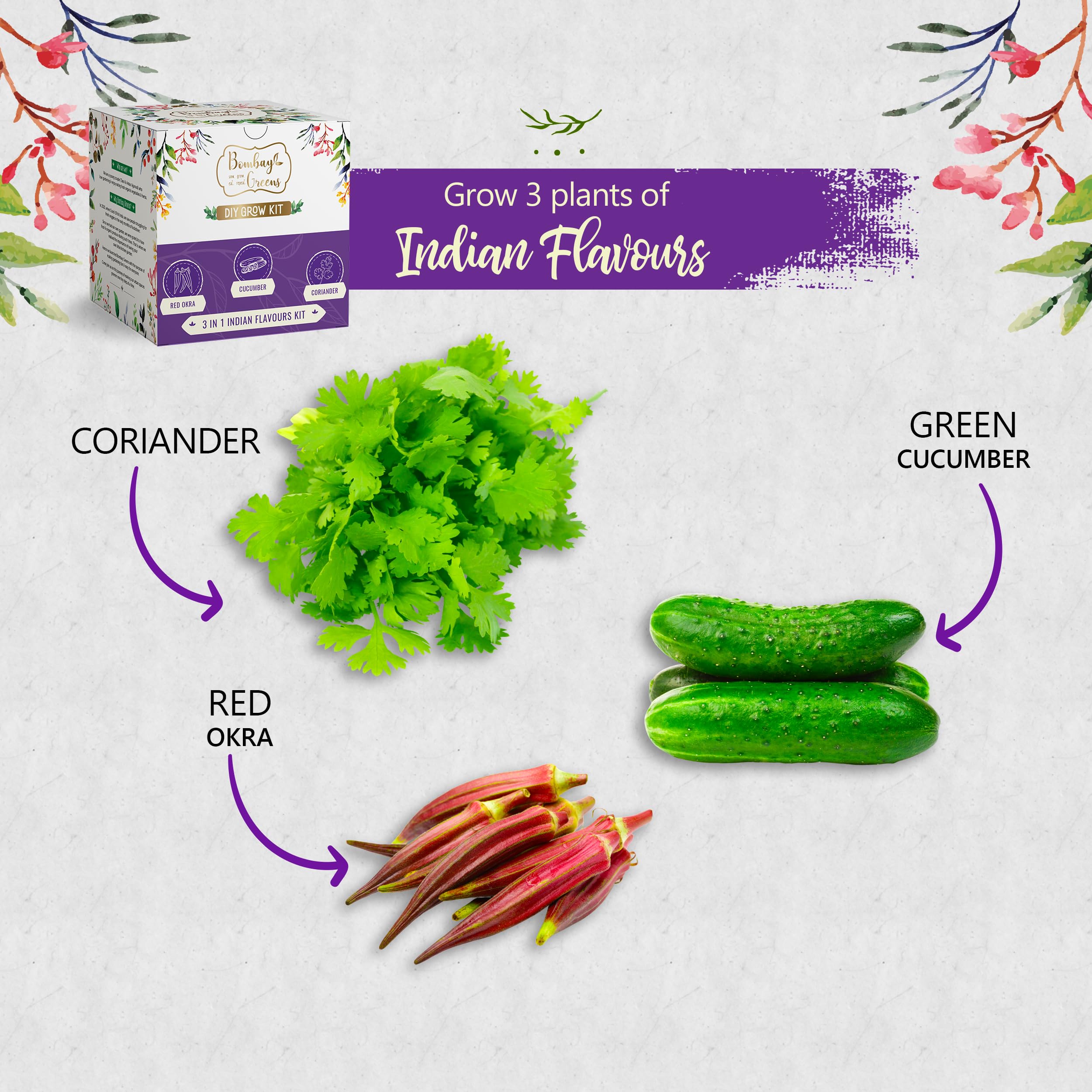 Bombay Greens 3 in 1 Indian Flavours Gardening Kit | Grow Your Own Kit - Coriander, Cucumber, Red Okra Plant | DIY Kit of for Home Garden | Combo of for Gardening 4