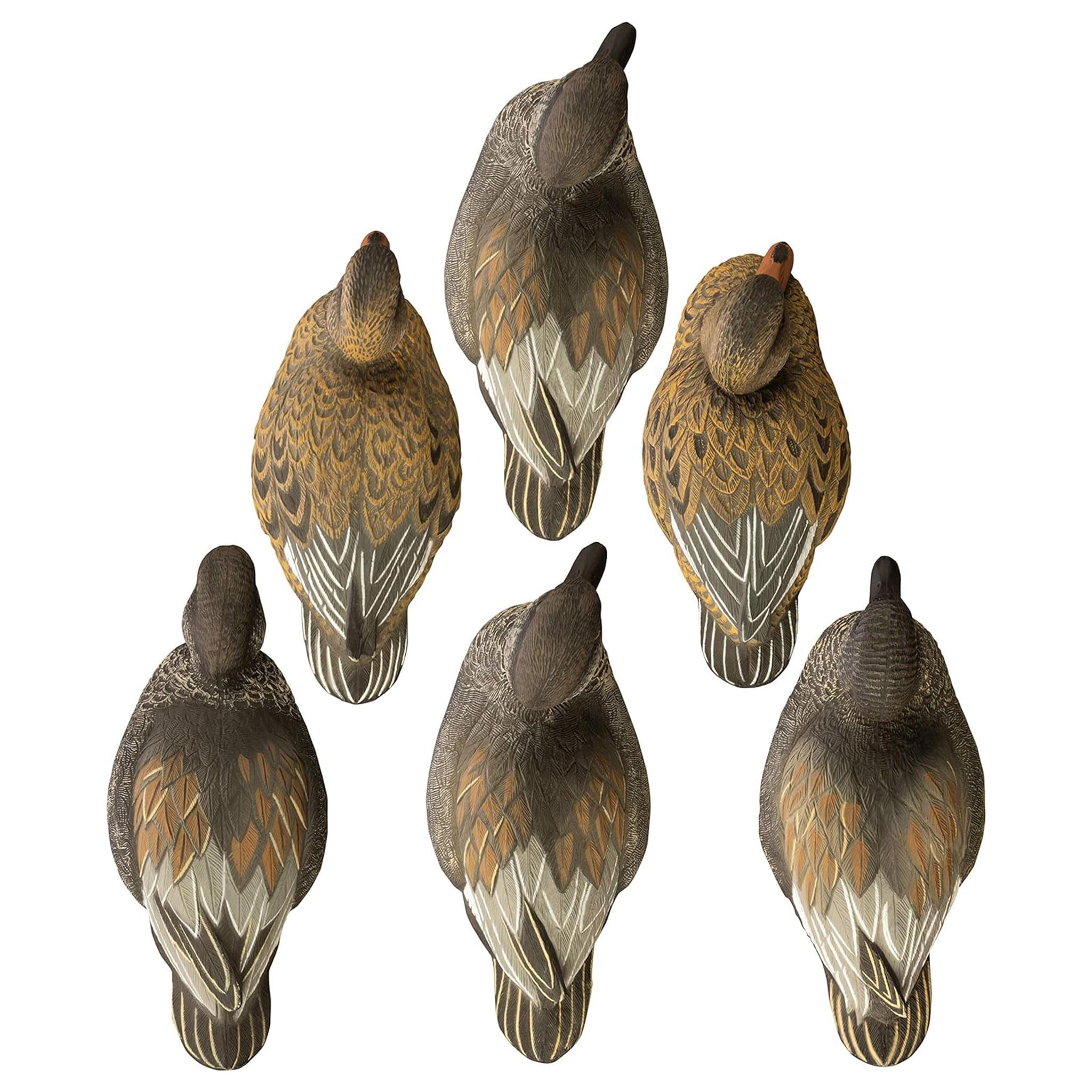 Higdon Outdoors Standard Gadwall Decoys, Foam-Filled