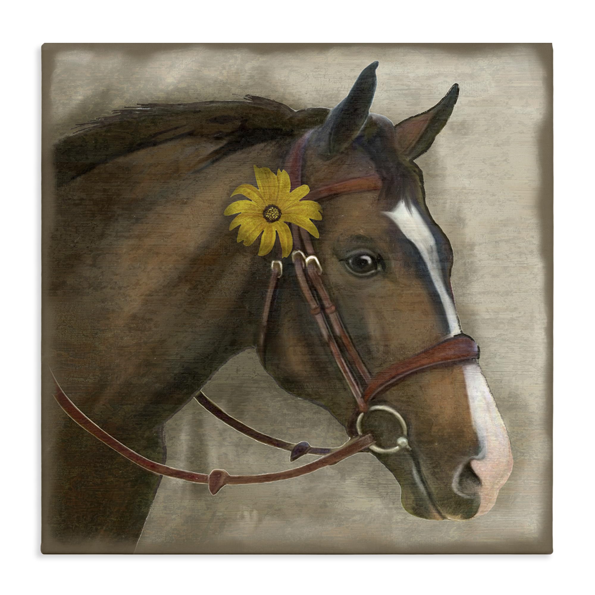 'Barnyard Horse with Daisy'| Canvas Art