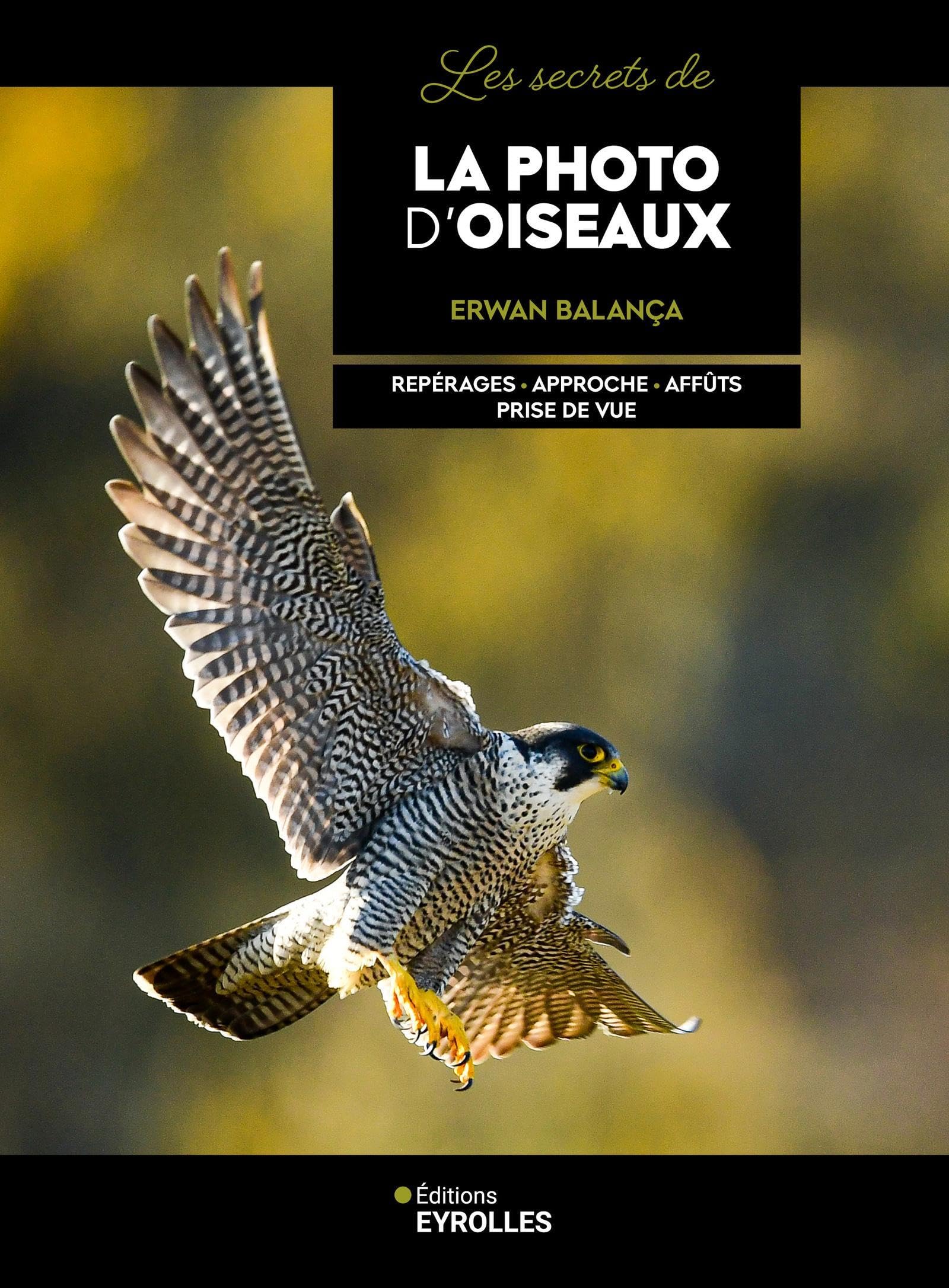 Les secrets de la photo d'oiseaux: Repérages - Approche - Affûts - Prise de vue