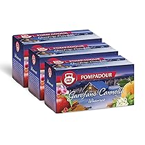 Pompadour, Infuso Garofano e Cannella, 60 Filtri (3 Confezioni da 20 Filtri), Bevanda Intensa ed Avvolgente, Ideale per le Fredde Sere d’Inverno, Senza Lattosio, Glutine e Allergeni, Vegan