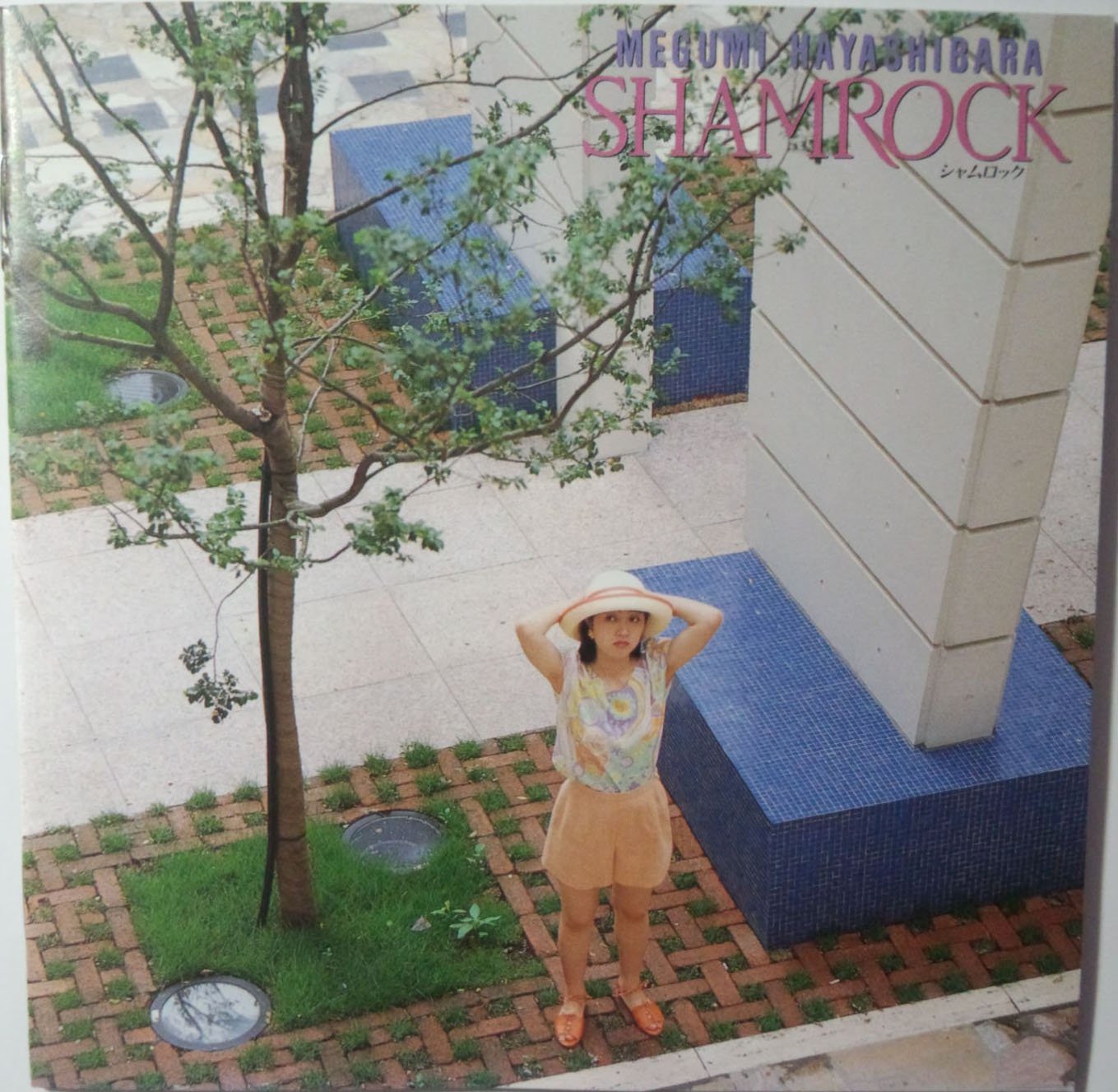 SHAMROCK~シャムロック~ Amazon.de MusikCDs & Vinyl