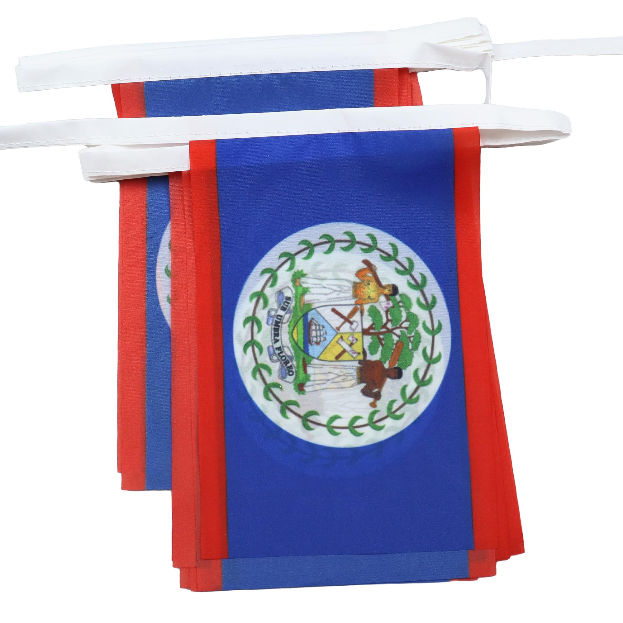AZ FLAG Guirnalda 6 Metros, 20 Banderas de Ecuador 21x15 cm, Bandera Ecuatoriana 15 x 21 cm - Banderines — view 209