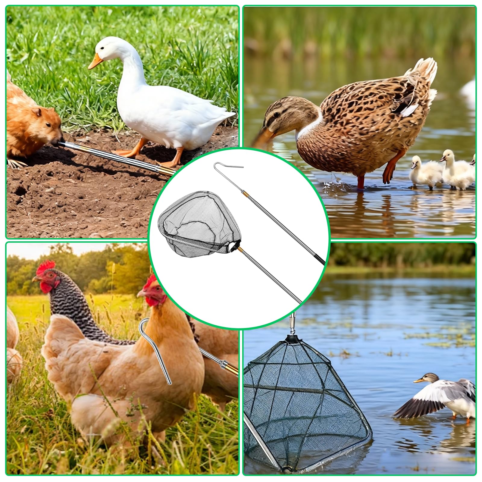 Juego de Recogedor de Pollos Retráctil y Red de Pesca 2 en 1, Kit de Captura con Red para Animales