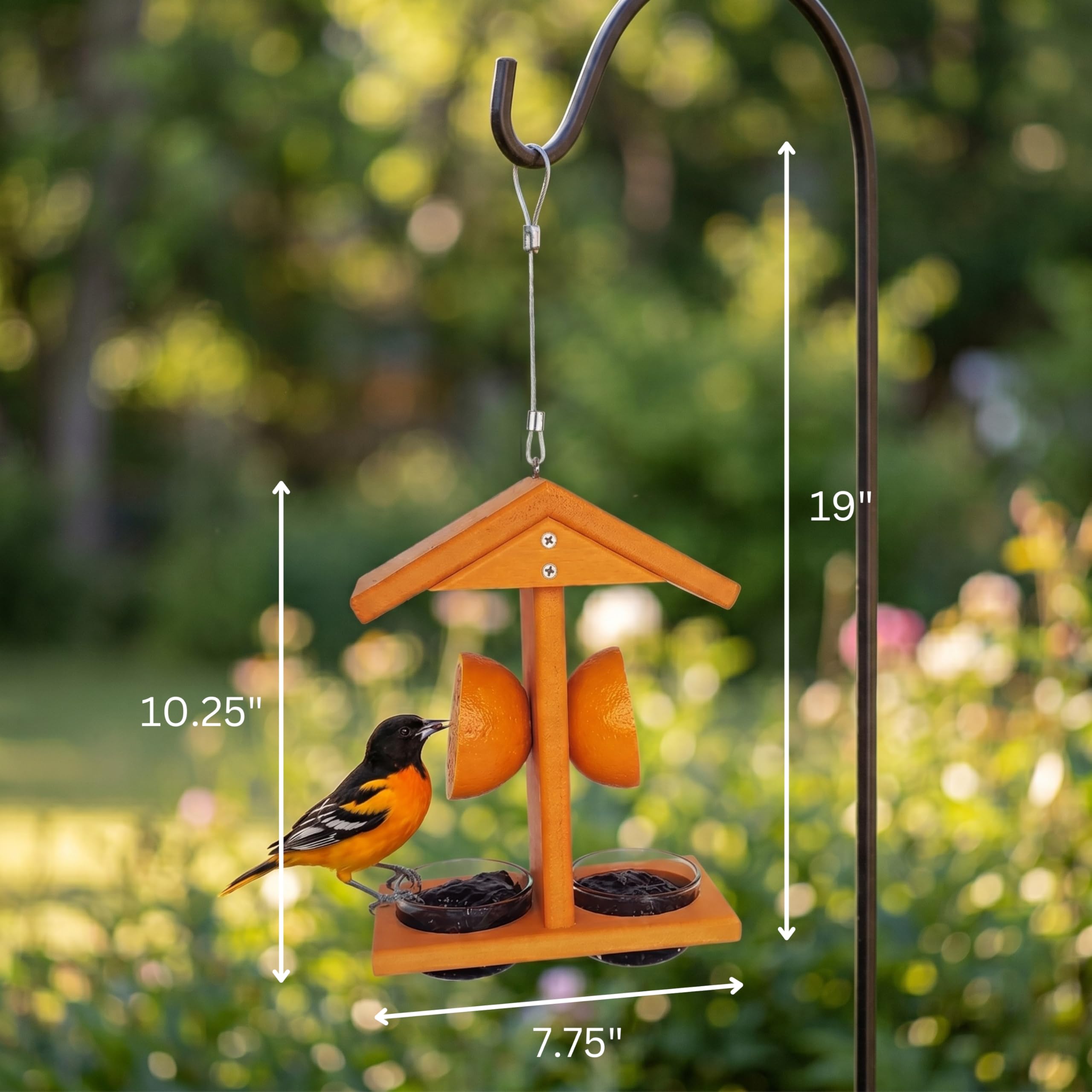 Baltimore Oriole Feeder Plans