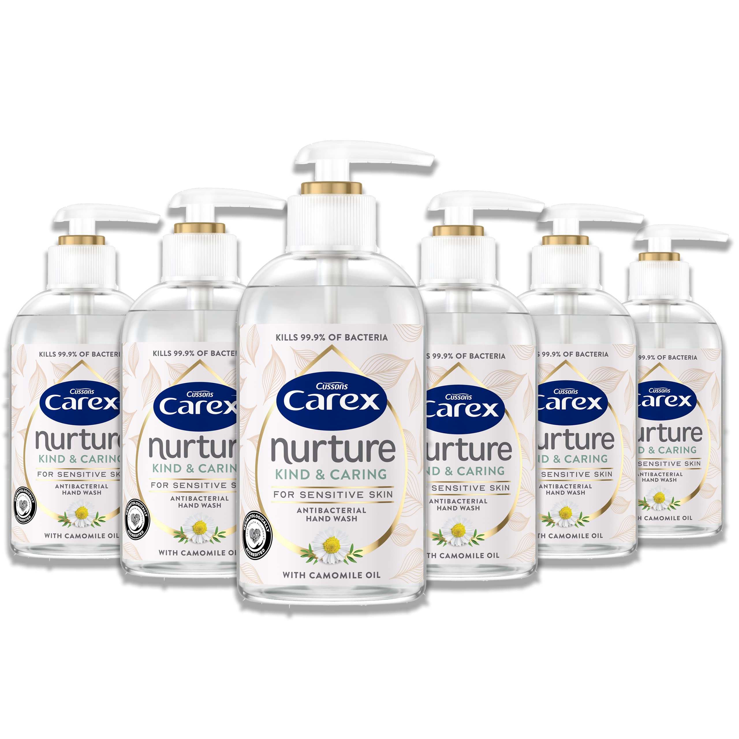Buy CAREX Nurture Antibacterial Sensitive Liquid Soap Handwash Kind
