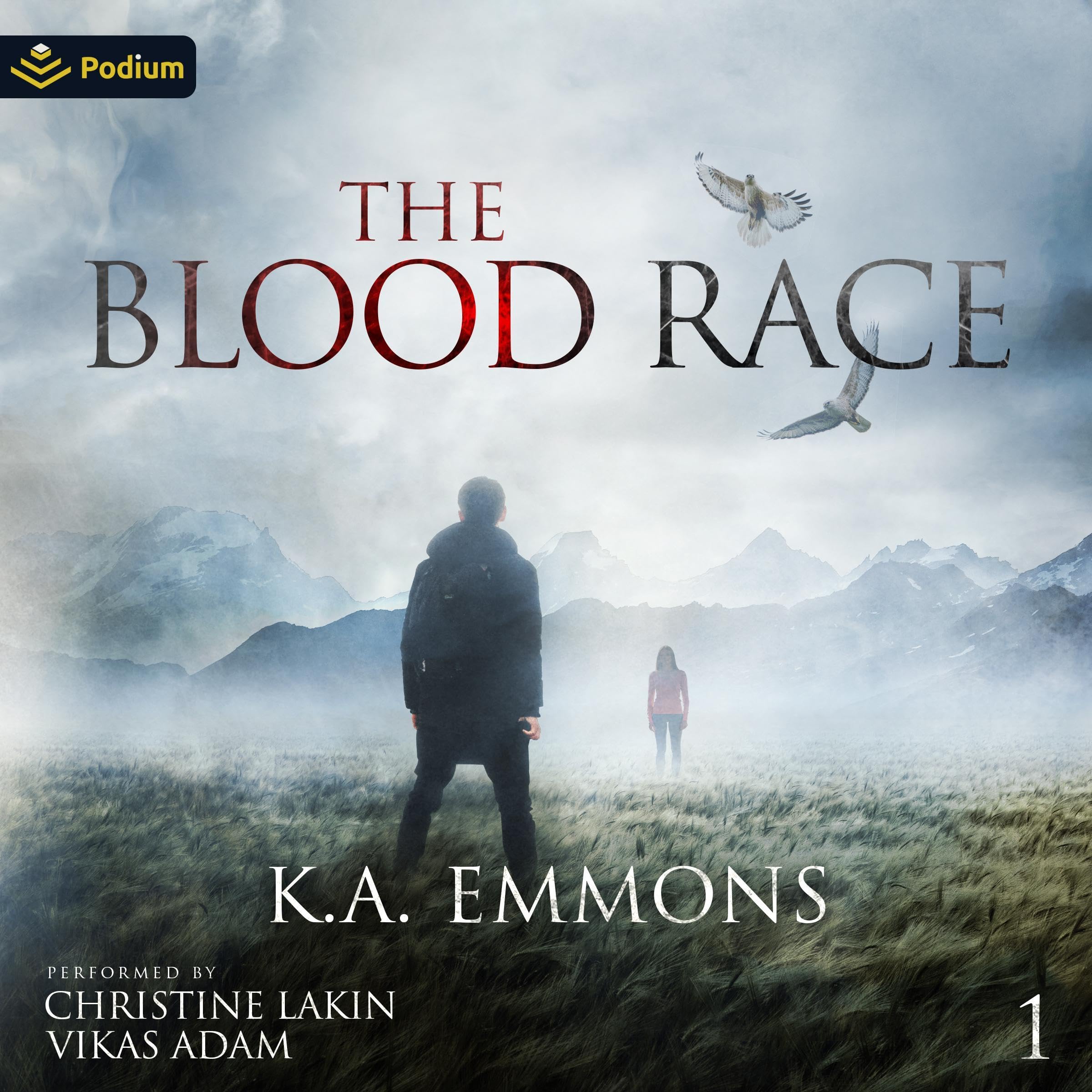 Cover art for The Blood Race