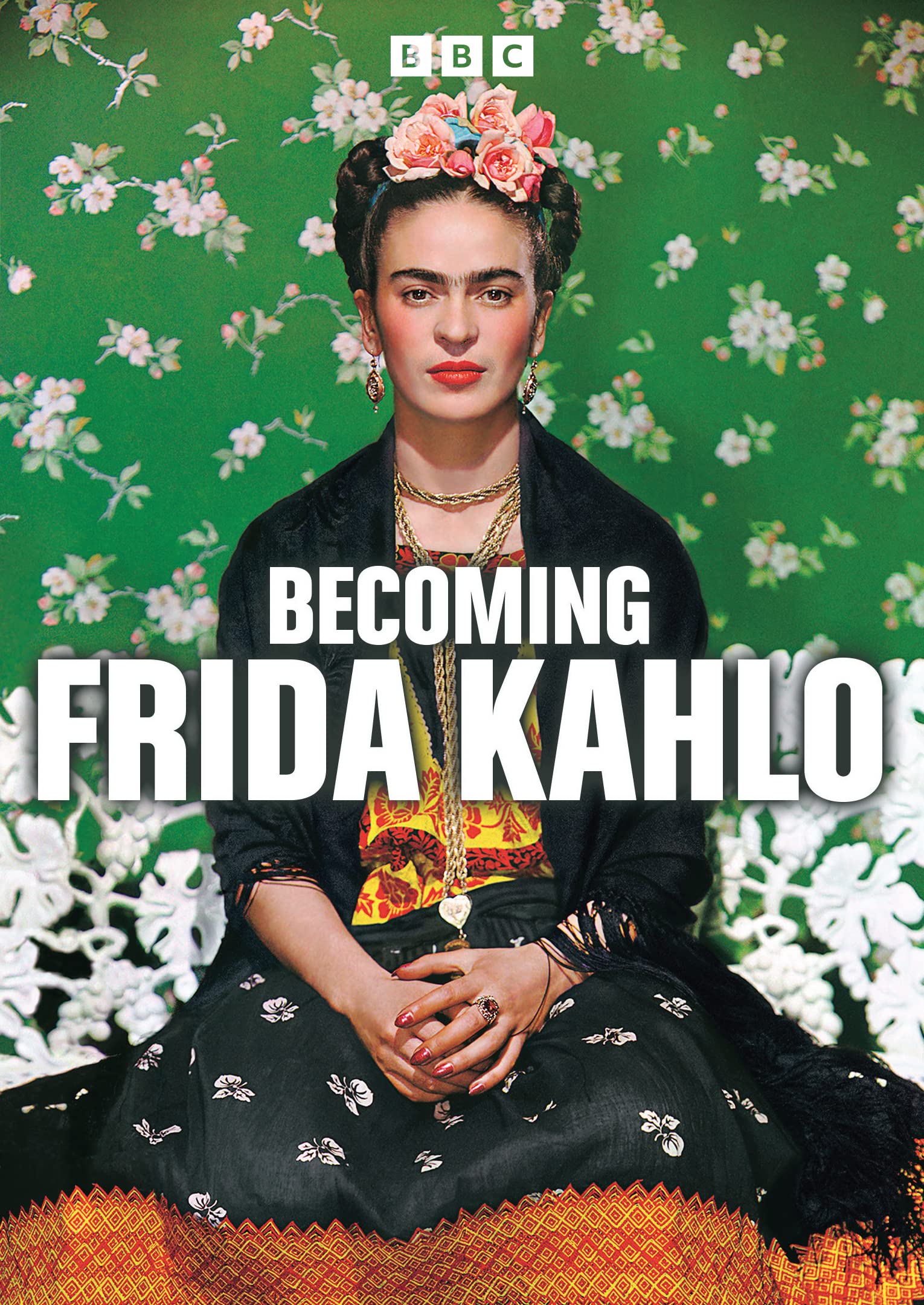 Becoming Frida Kahlo [E] DVD