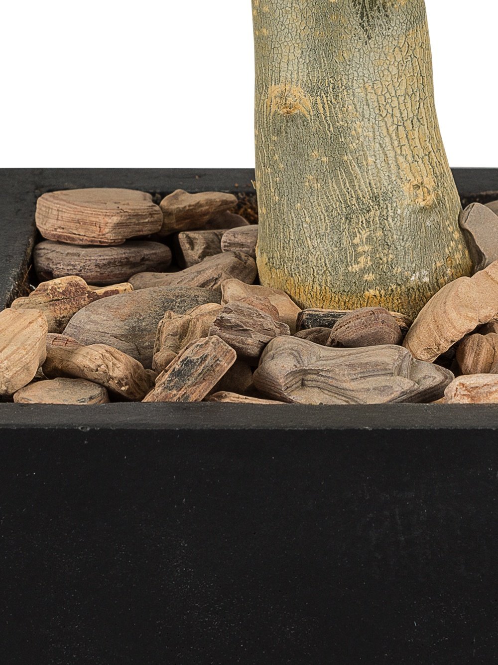 Pflanzwerk® Pflanzkübel Dekosteine Zierkies Big Canyon Rocks Braun 5KG *Frostbeständig* *UV-Schutz* *Qualitätsware*