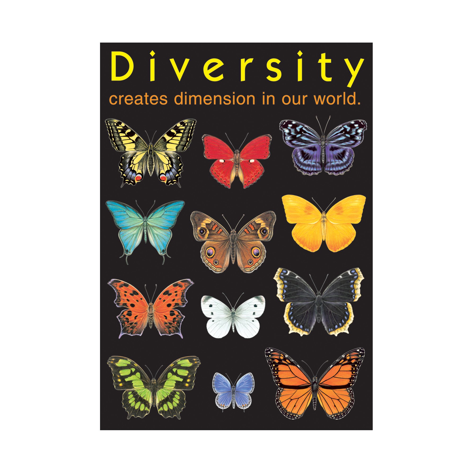 Argus T-A67003 Diversity creates Dimension Poster, 13.375" x 19"