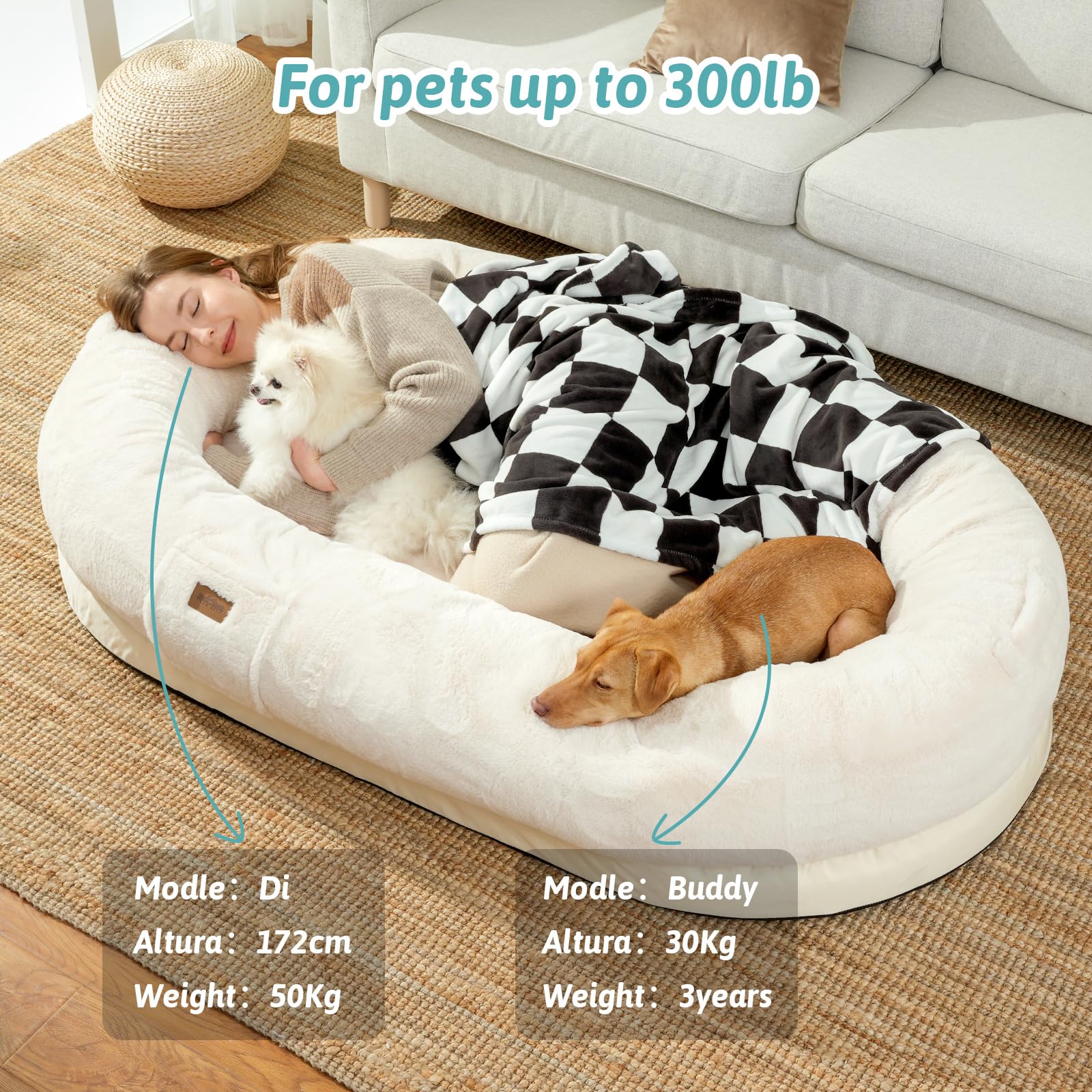 Orthopädisches Hundebett Mit Memory-Schaum – Extra Groß & Waschbar