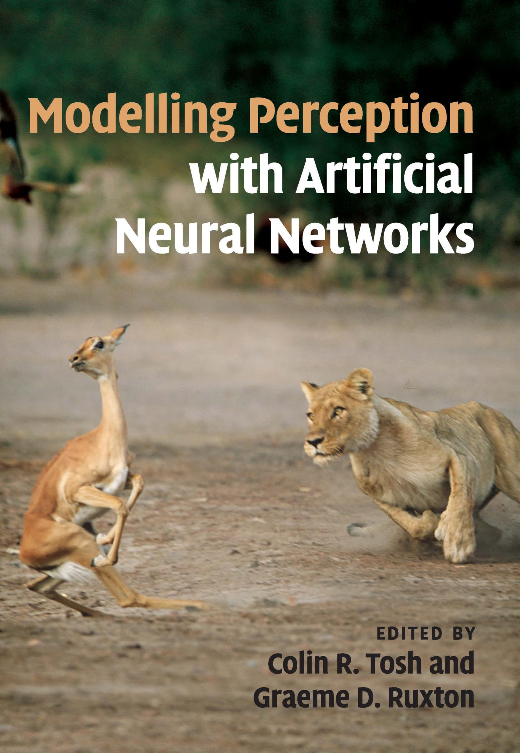 Modelling Perception with Artificial Neural Networks view 3