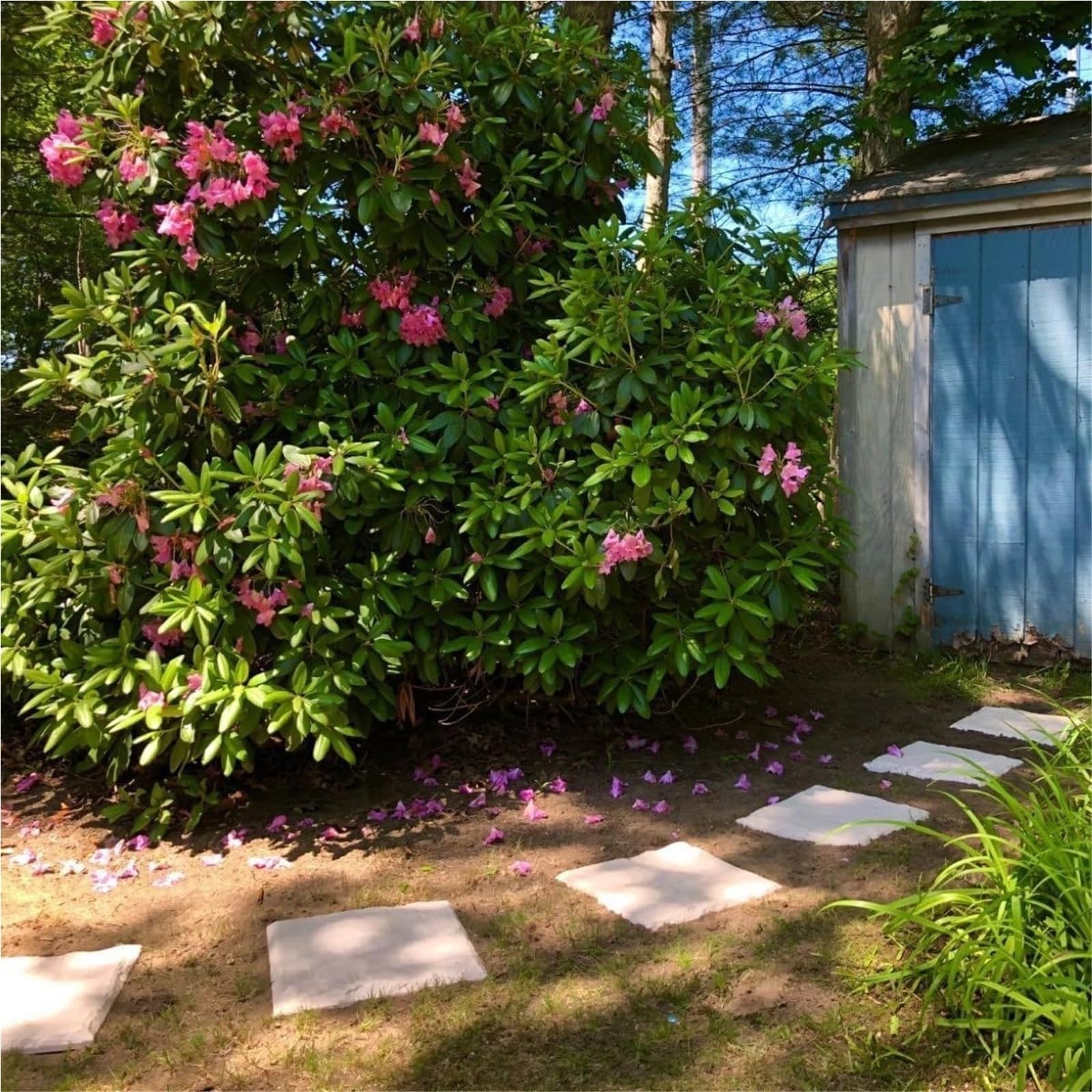 Dalles de pas japonais résistantes aux intempéries for allées, pavés en résine durable de 40 cm avec piquets, à enfoncer dans le sol for allées, pelouses et jardins.