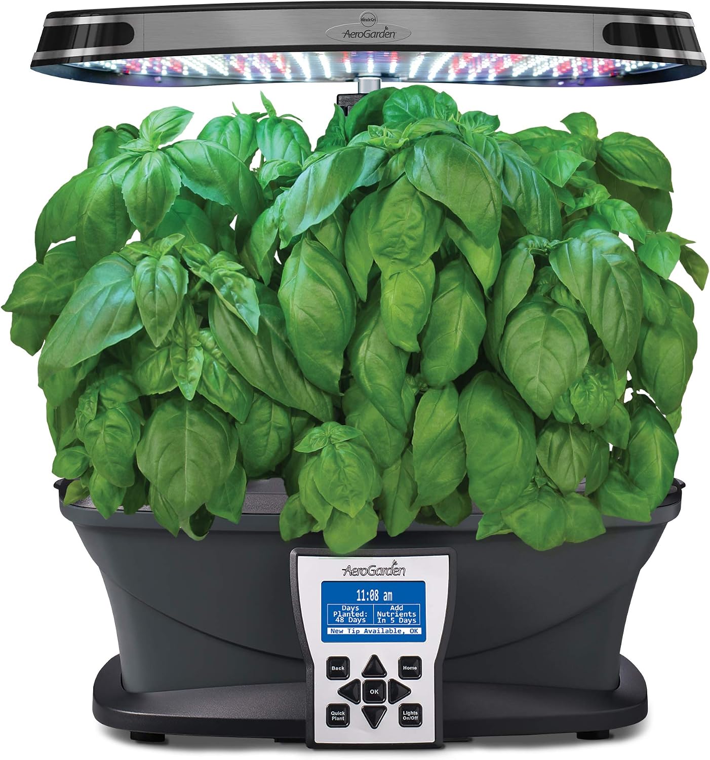 AeroGarden Pesto Basil Seed Pod Kit, 7 pod