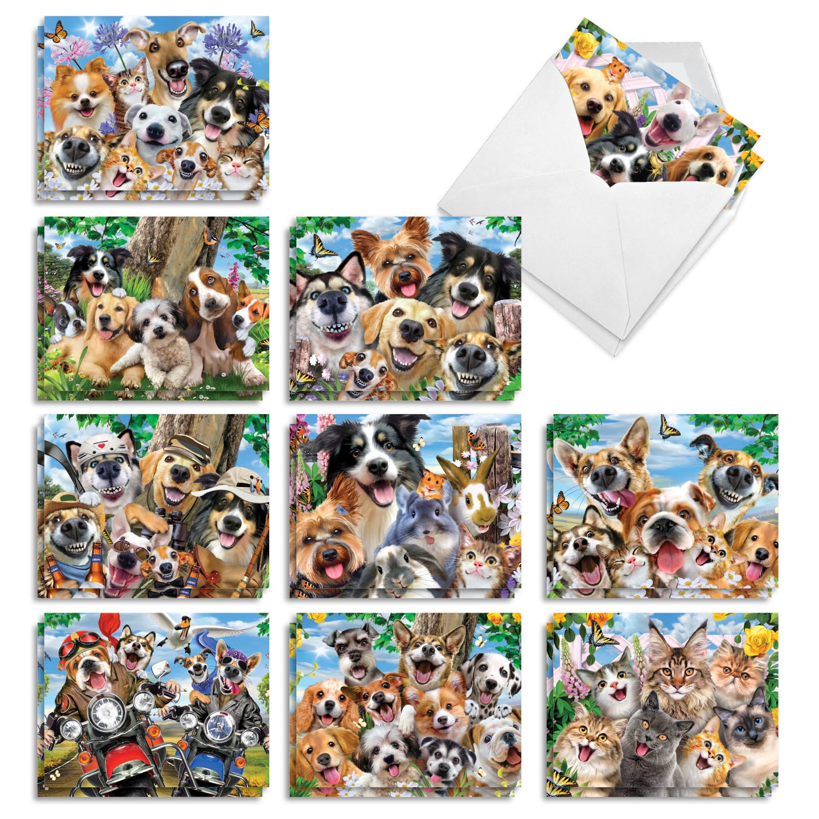 Best Card Co 20 Blank Boxed Notes Cat &amp; Dog Selfies AM10690OCB-B2x10