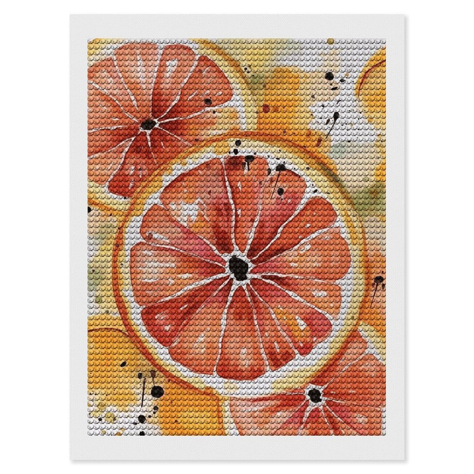 Diamond Painting Kits for Adults - DIY Diamond Art Kits for Beginners - Full 5D Paint Drill Diamond Dots Paintings- Watercolor Orange Slice Diamonds Pictures Gem Art And Craft Wall Decor 12"x16"