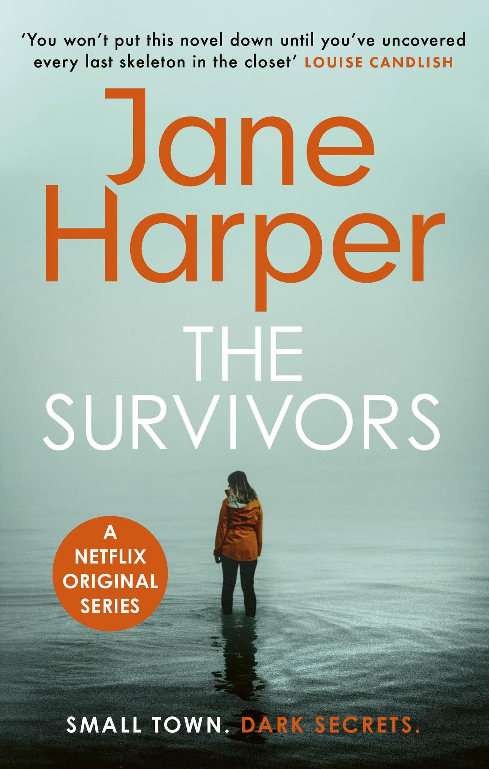 The Survivors: soon to be a Netflix Original Series