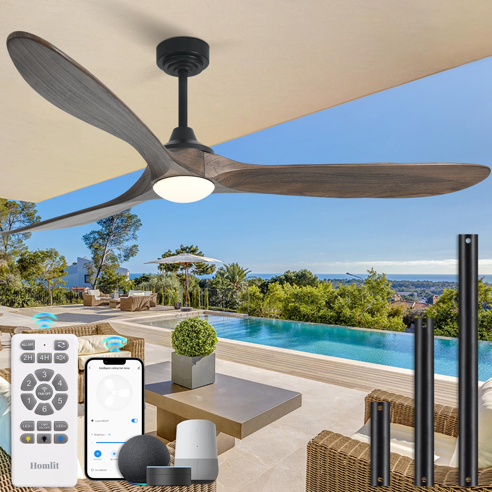 Ceiling Fan with Lights