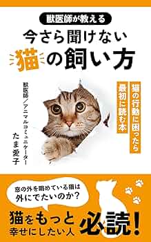 Amazon.co.jp: 獣医師が教える今さら聞けない猫の飼い方: 猫の