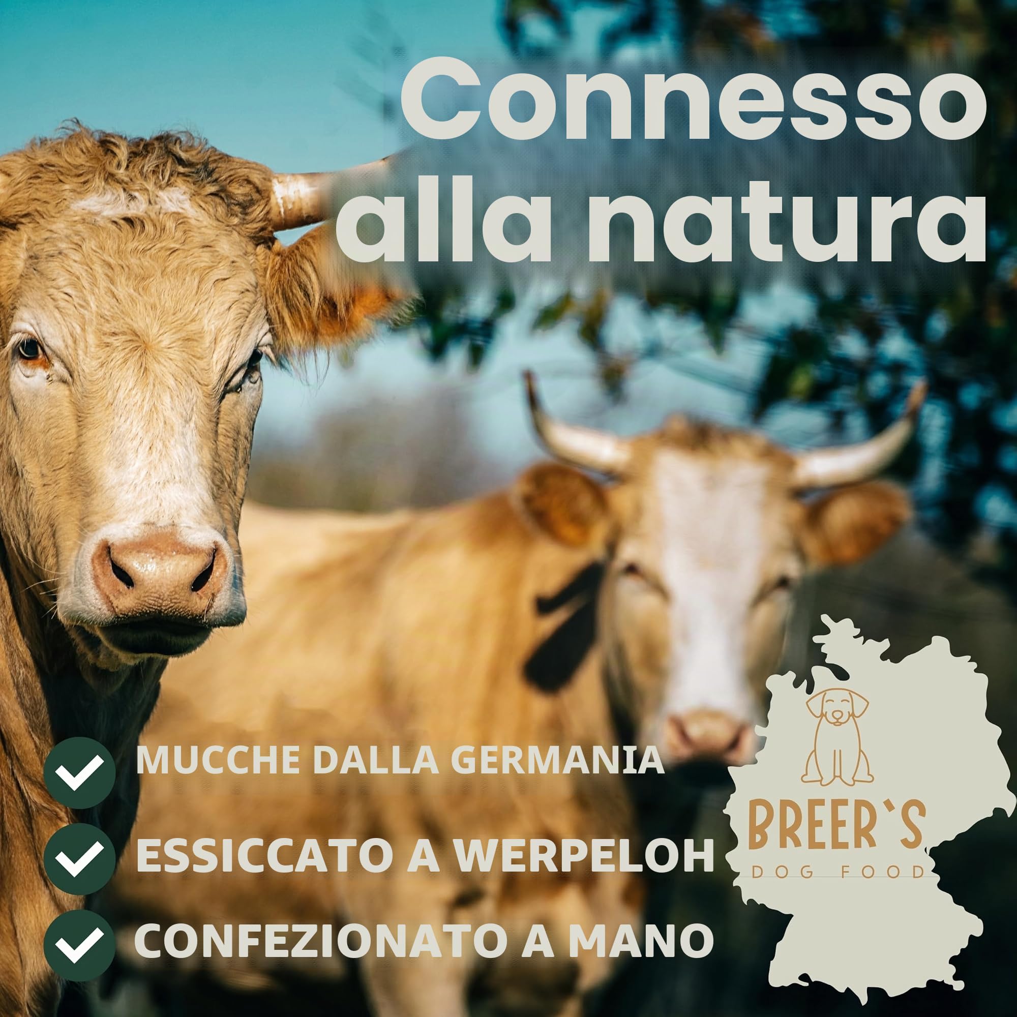 BREERs - Cuoio capelluto secco per cani, 25 cm, 2 kg, senza cereali, produzione tedesca, articolo da masticare per cani di taglia grande