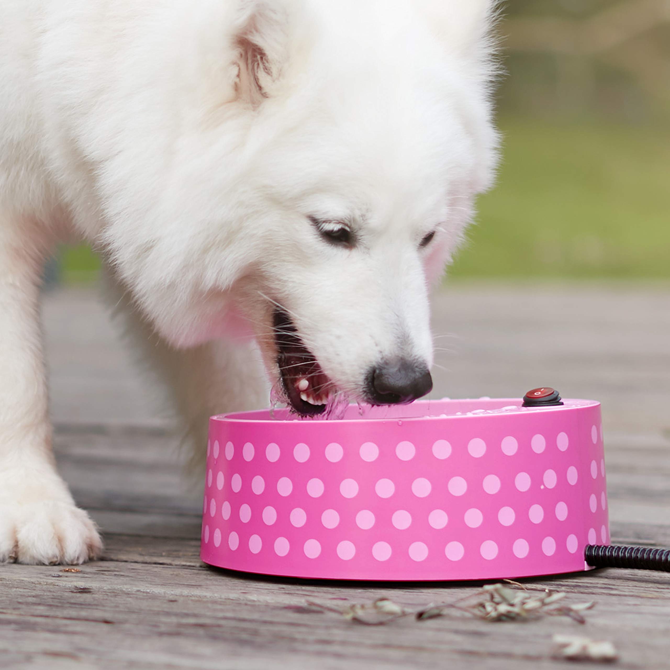 Petfactors Heated Pet Bowl, Outdoor Pet Thermal Water Bowl, Dog Cat Heated Water Bowl with 69 Inch Chew Resistant Cord and Waterproof ON/Off Switch