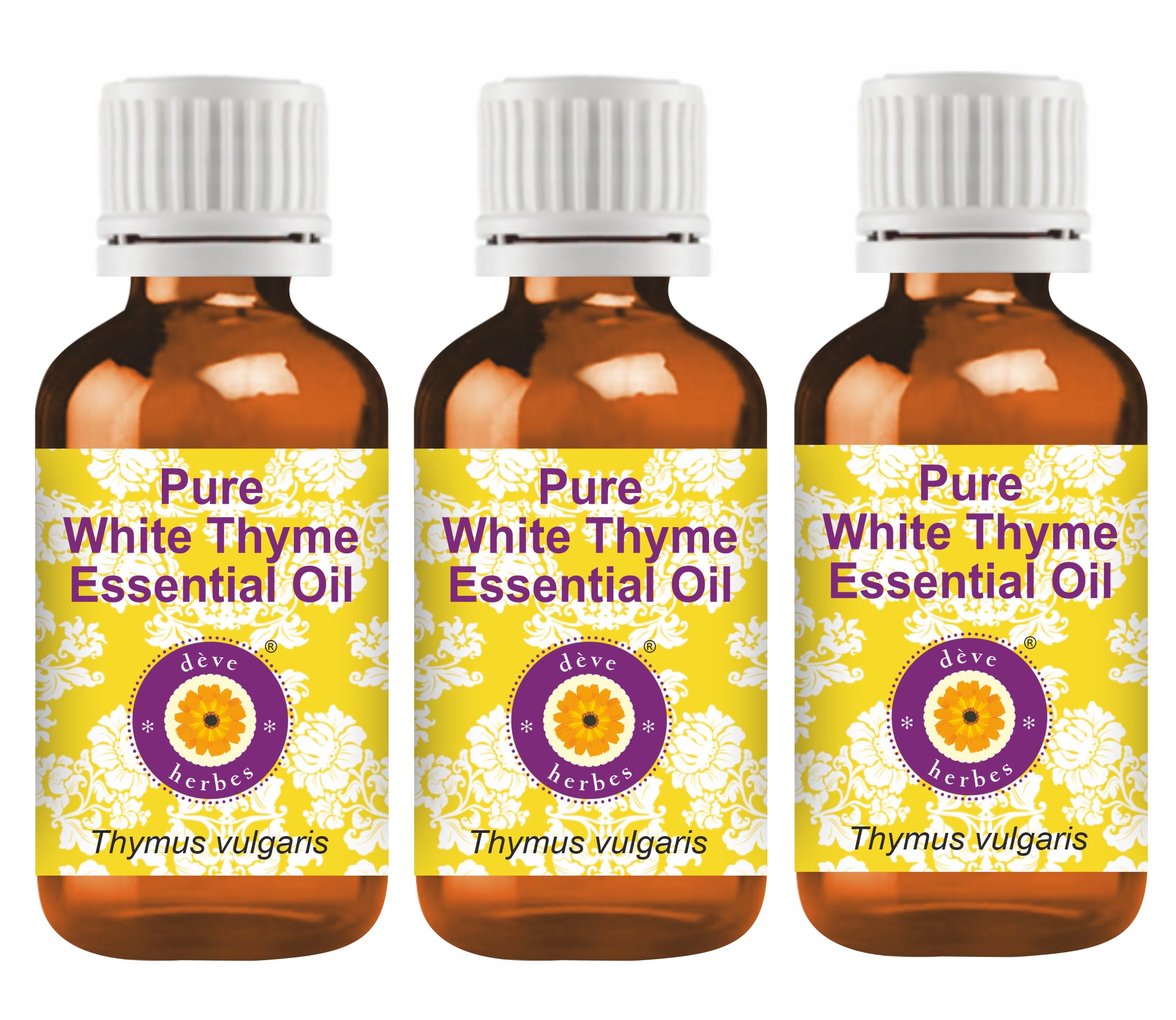 dève herbes Pure White Thyme Essential Oil (Thymus vulgaris) Natural Therapeutic Grade Steam Distilled (Pack of Three) 100mlx3 (10 oz)