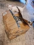 Review Image by Amazon Customer