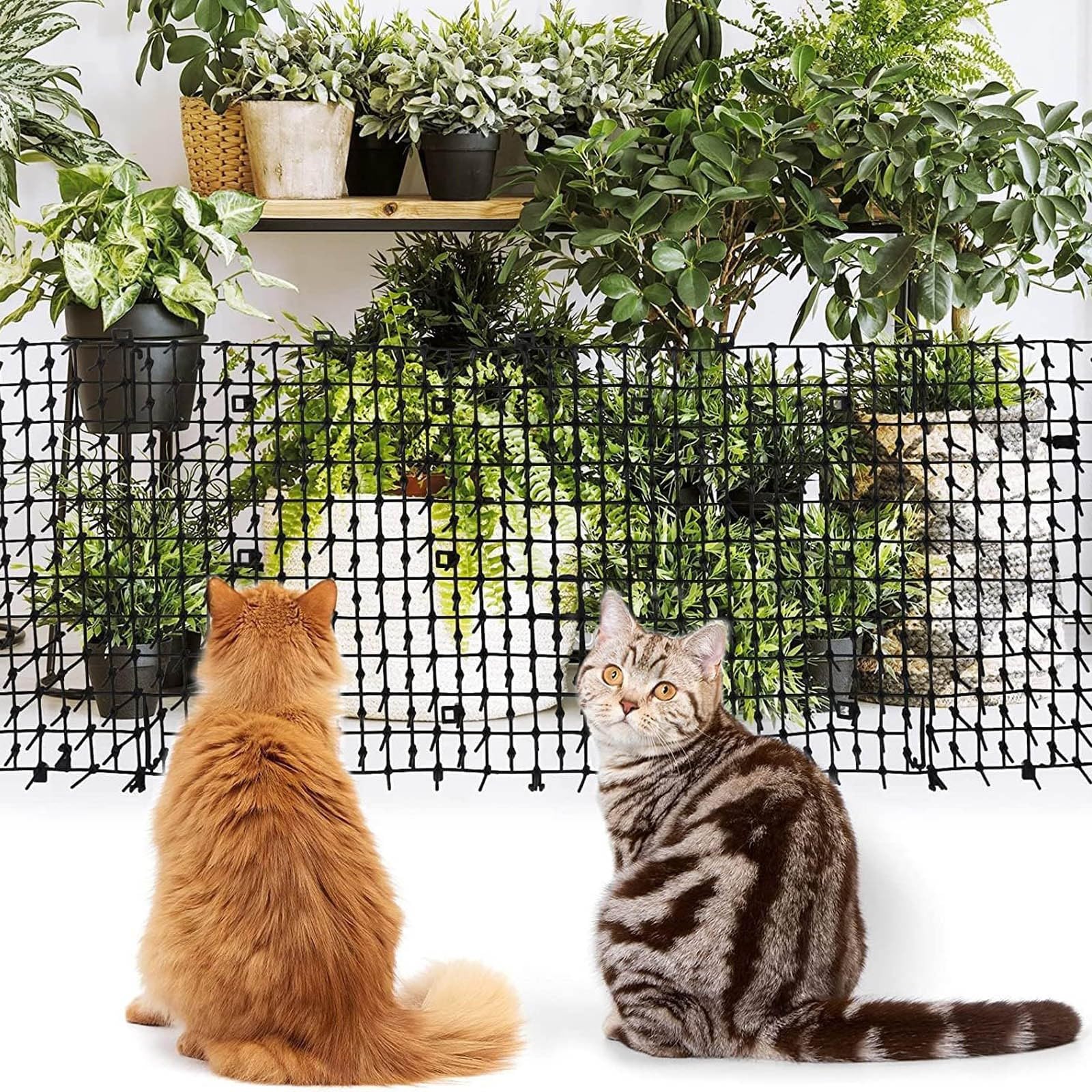 猫よけ　4個セット Amazon.co.jp: コモライフ ネコよけ 置くだけガード (15g×12袋) 効果約