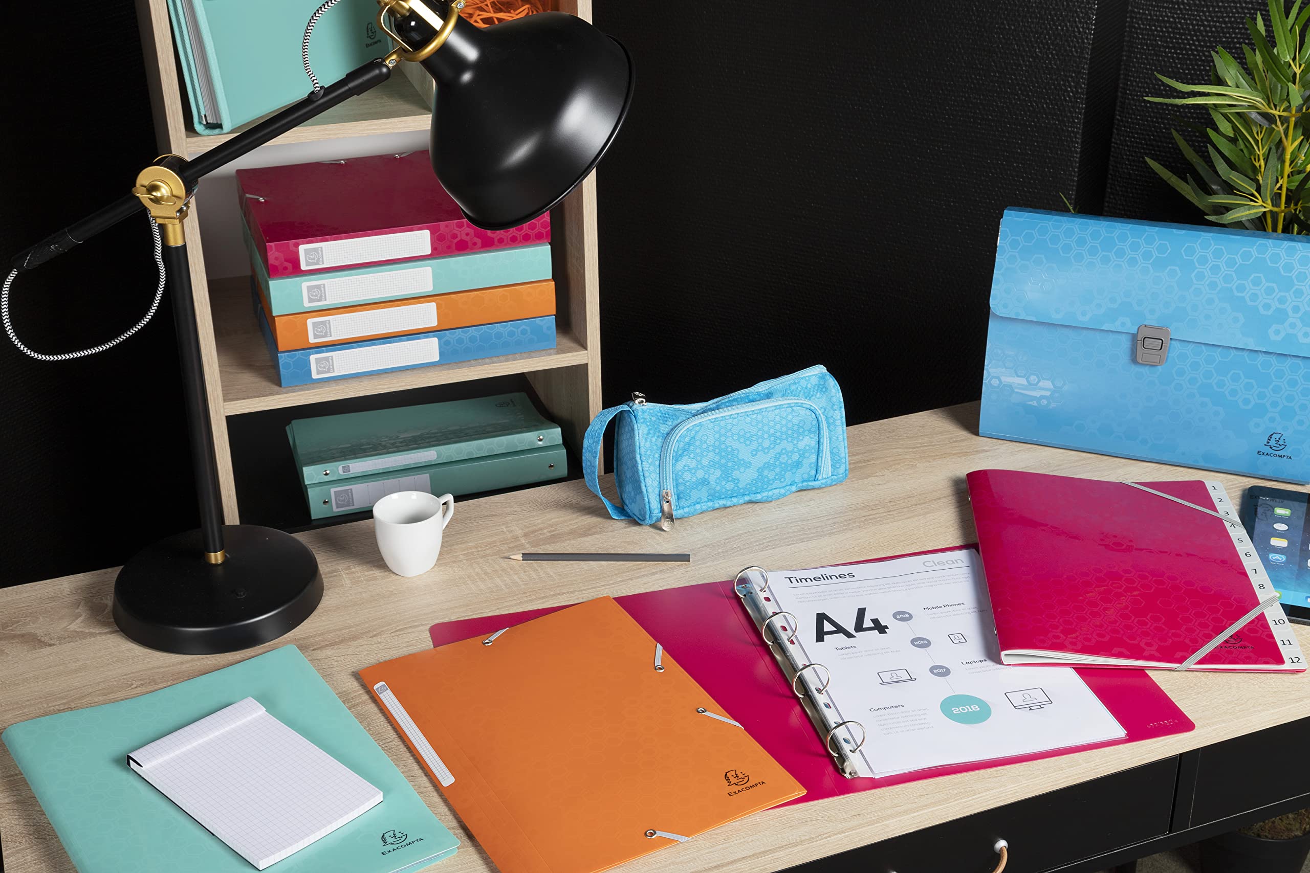 Exacompta - Réf. 88740E - Paquet de 4 Protège-documents Maïa - 40 pochettes cristal lisse - 80 vues - pour A4 - dim 24 x 32 cm - couverture en polypro recyclé semi-rigide - 4 couleurs assorties