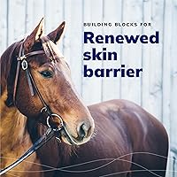 Vista 6 de CeraSoothe® CHX+MC Champú antiséptico 16oz