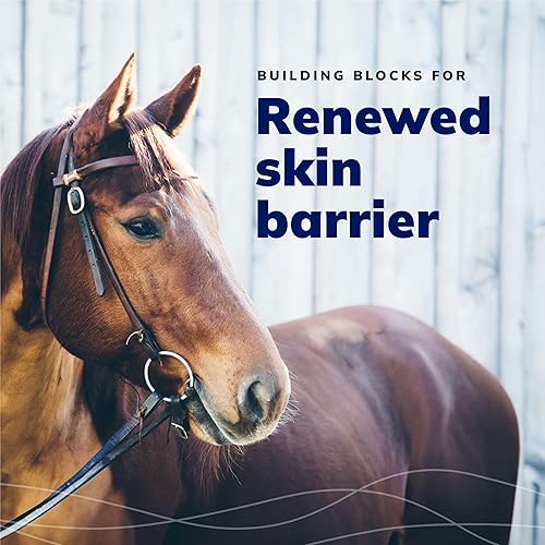 Miniatura 6 de CeraSoothe® CHX+MC Champú antiséptico 16oz