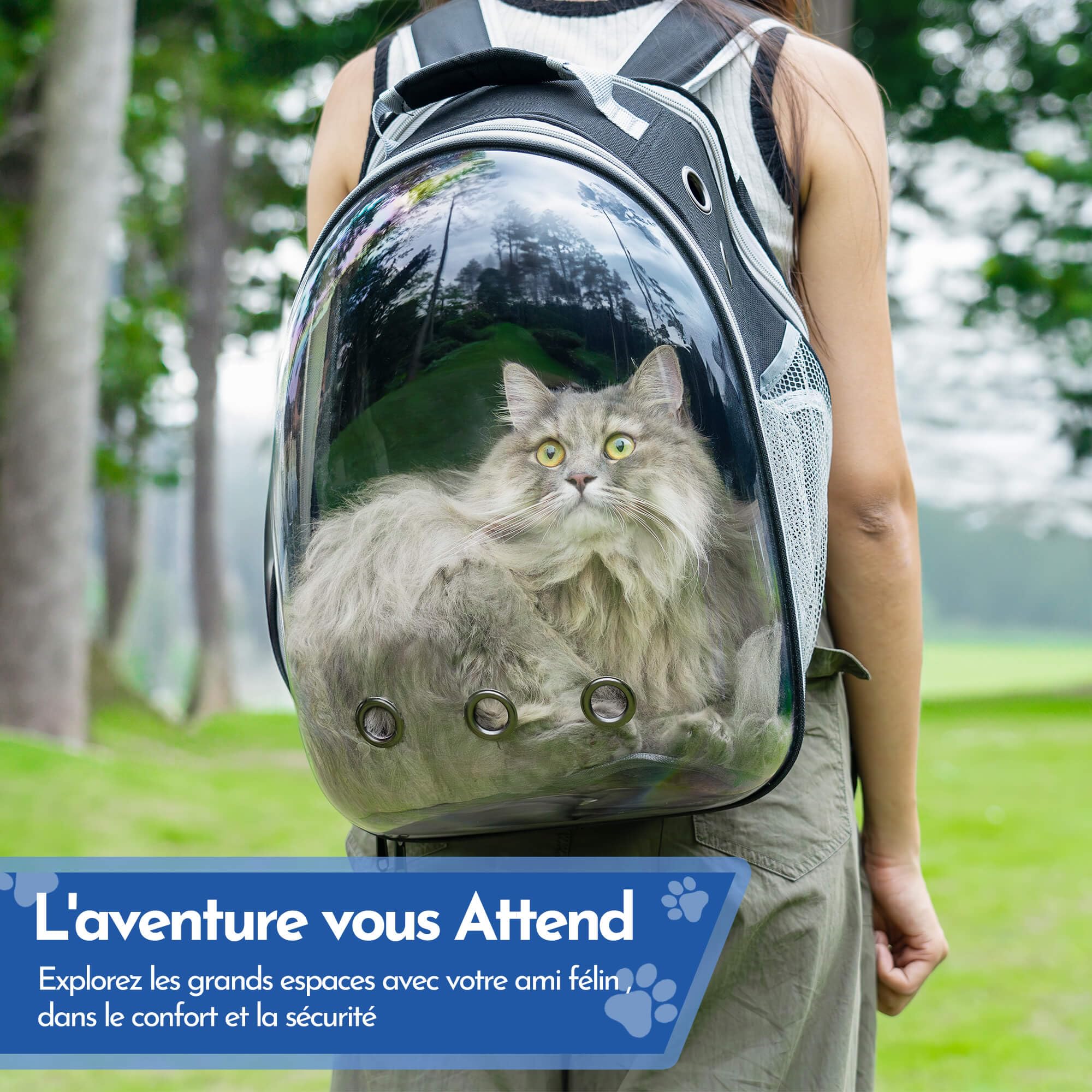 Chic Chats Accessoires Félinement Chic, Naturellement Miaou, Sac de Transport pour Chat, Sac de Transport pour Chien, Bulle Transparente, Caisse de Transport Chat, Sac a Dos Chat, Filet Respirant