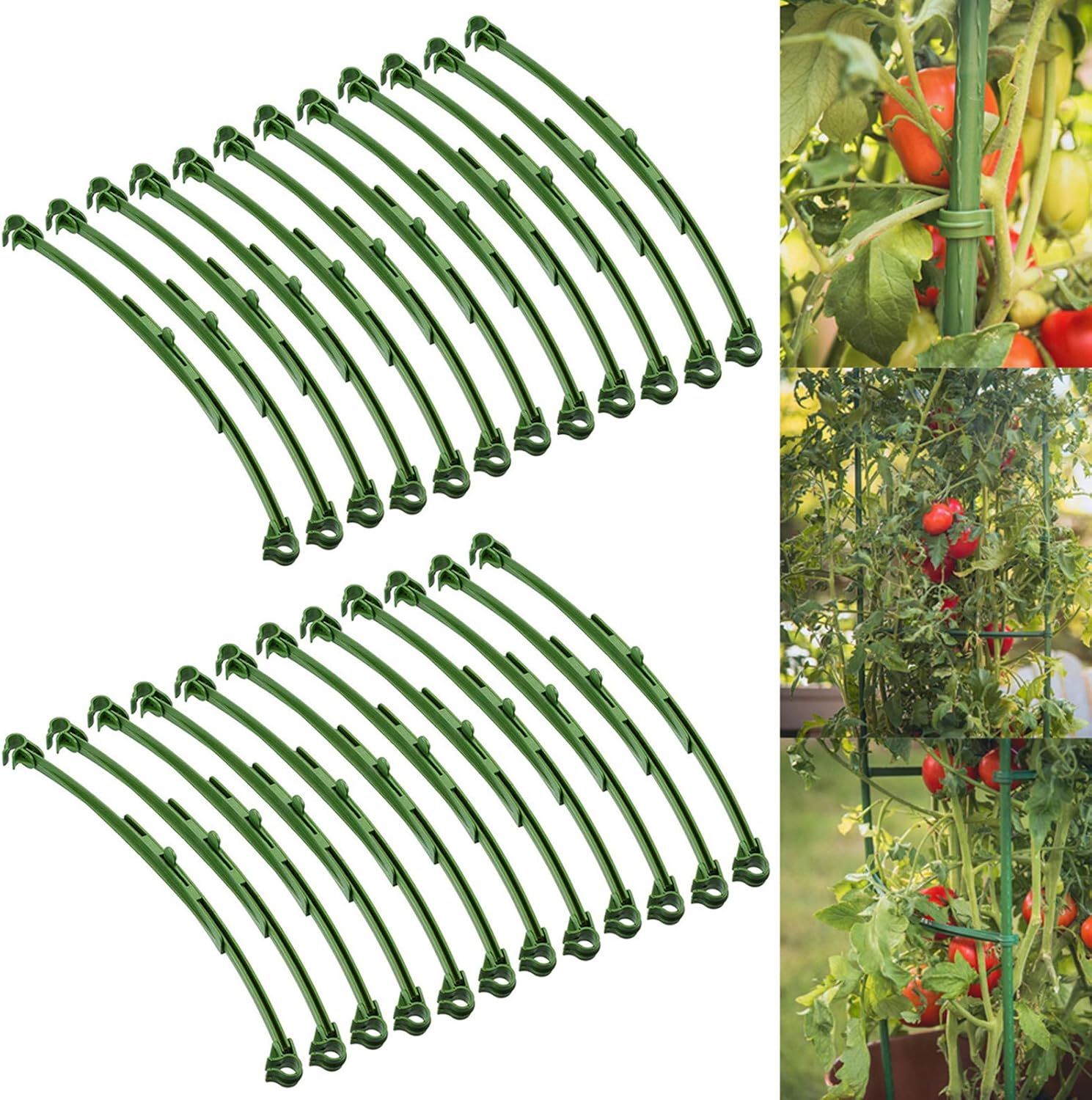 WDDH 24Pcs Garden Stakes Arms for Tomato Cage, Adjustable