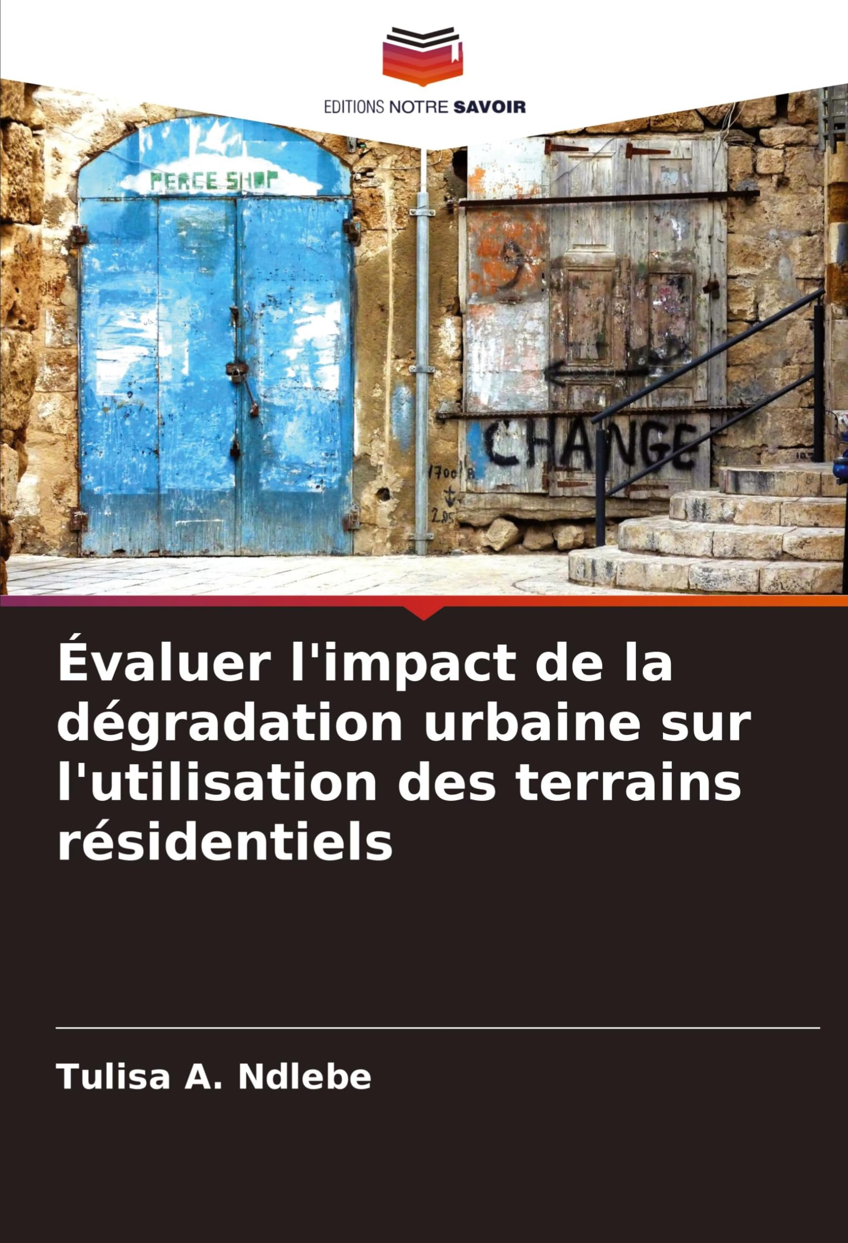Dégradation urbaine : évaluer l'impact sur l'utilisation des terrains
